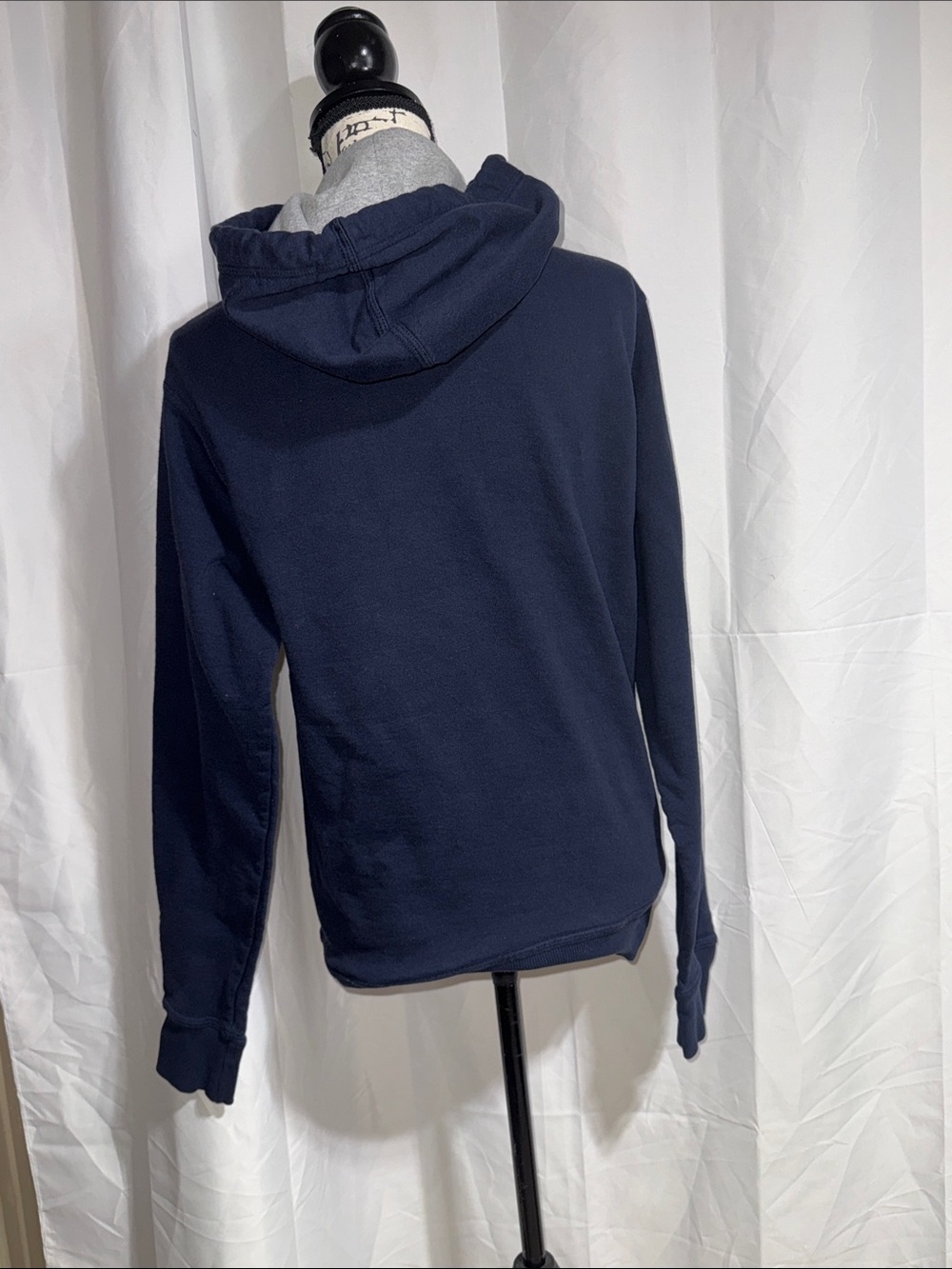 Champion Blue Hoodie